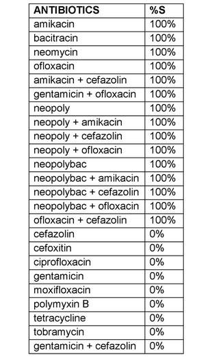 Anaerobic gram-positive cocci